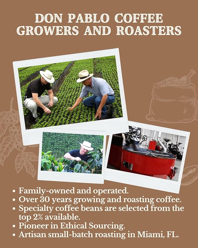 2LB Subtle Earth Organic Coffee - Dark Roast - Whole Bean Coffee - 100% Arabica Beans - Low Acidity and Non-GMO - 2lb bag