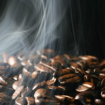 V Vescovi Espresso Intenso | Premium Italian Ground Espresso | Medium Roast | For Moka and Espresso Machines | 8.8oz/250g