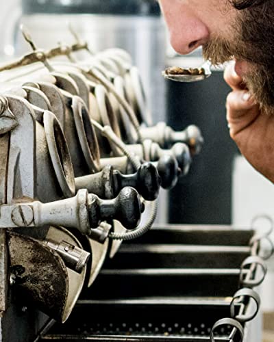 V Vescovi Espresso Intenso | Premium Italian Ground Espresso | Medium Roast | For Moka and Espresso Machines | 8.8oz/250g