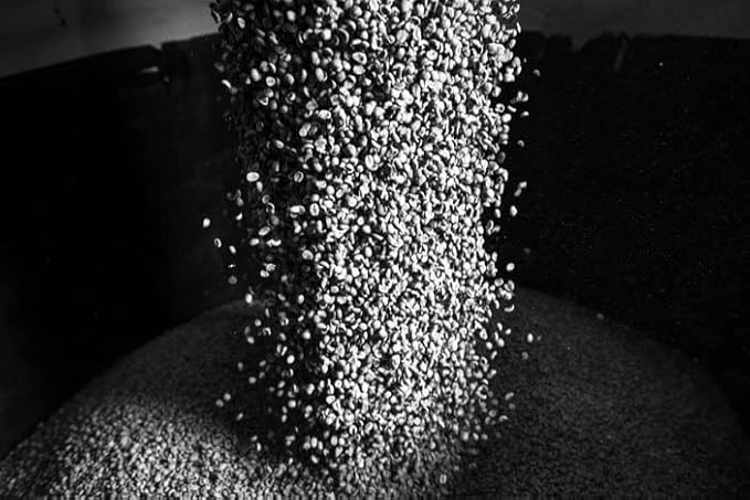 Bristot Wellcoffee Dewaxed – Low-Acid Italian Ground Espresso – Medium Roast Coffee for Moka Pot, French Press & Pour Over – 7.05 oz (200g)