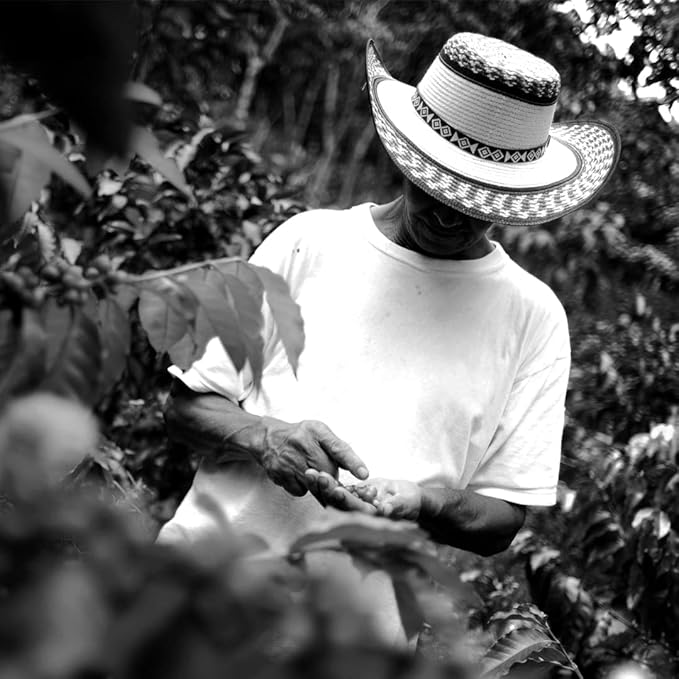 V Vescovi 100% Arabica Ground Espresso – Medium Roast Italian Coffee – For Moka, French Press & Pour Over – 8.8 oz (250g)