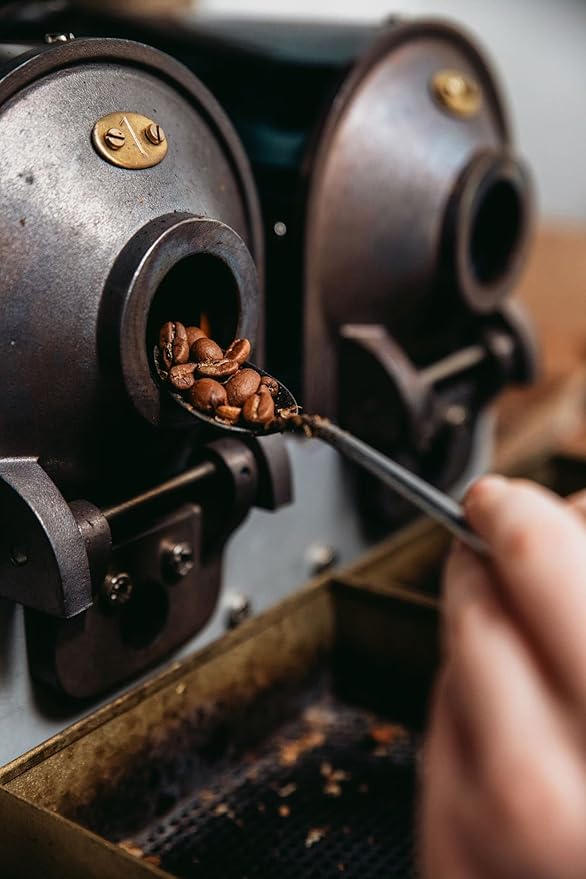 Bristot Wellcoffee Dewaxed – Low-Acid Italian Ground Espresso – Medium Roast Coffee for Moka Pot, French Press & Pour Over – 7.05 oz (200g)